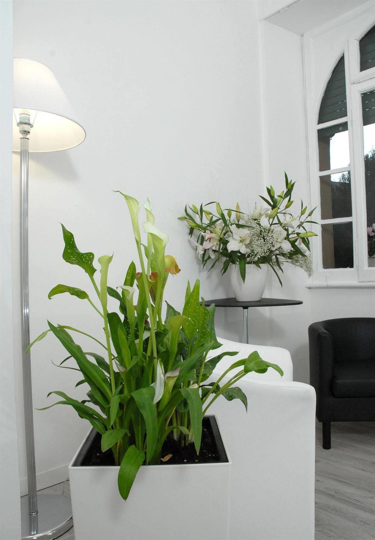 Gardenia Suite Řím Exteriér fotografie